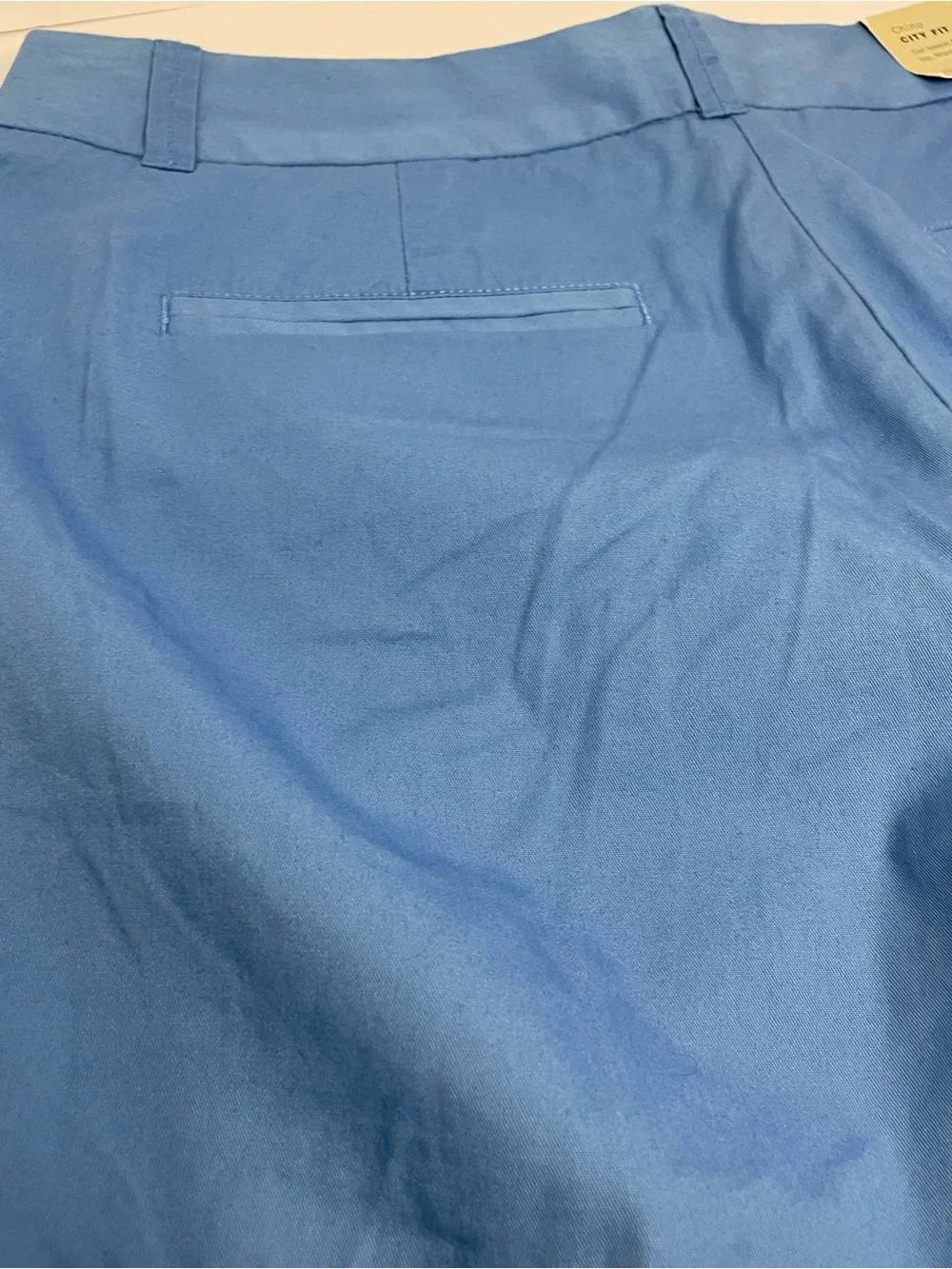J. Crew Women’s Chino Shorts in Blue